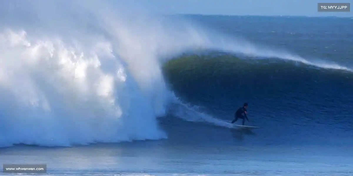 行业领先的理由